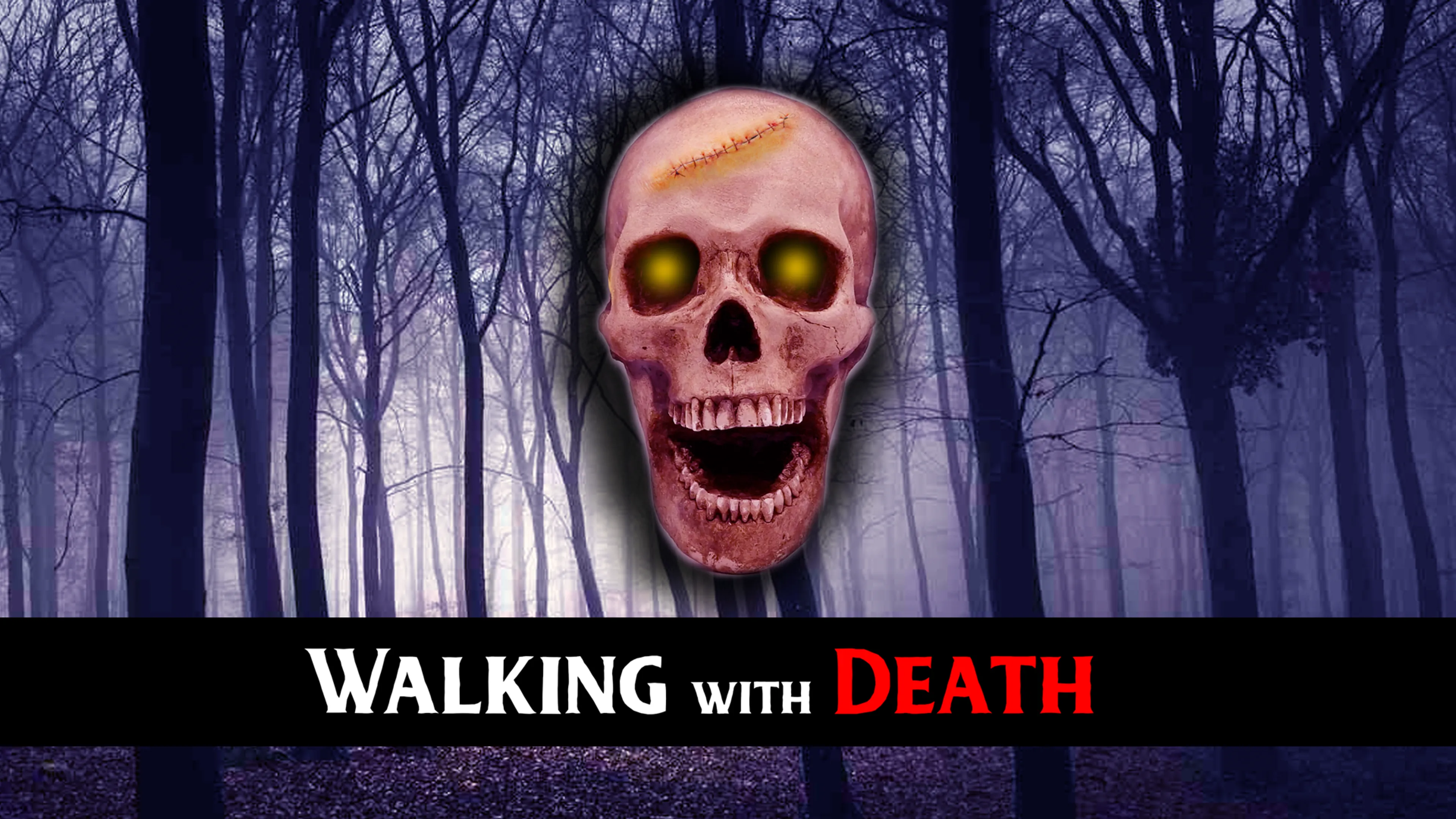 Walking with Death poster